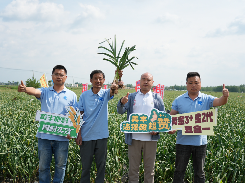 夏攻行動(dòng)：四川美豐護(hù)航夏糧豐產(chǎn)豐收