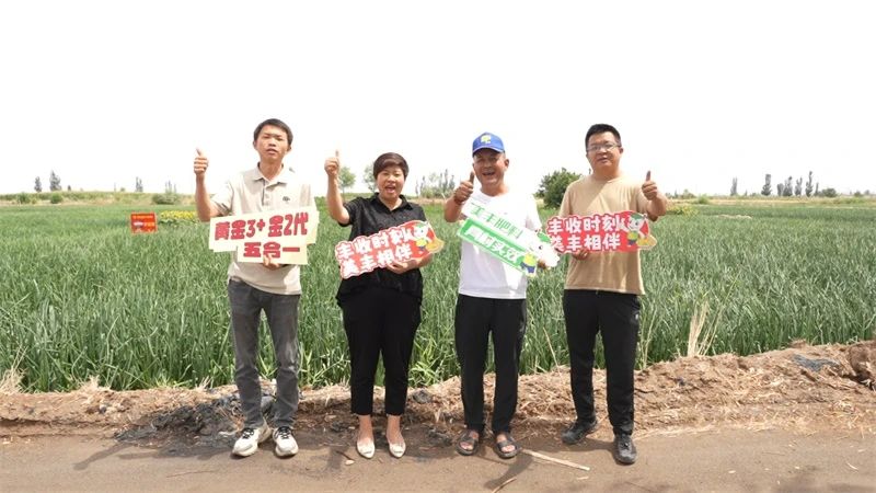 洋蔥界“硬核選手”的秘密……